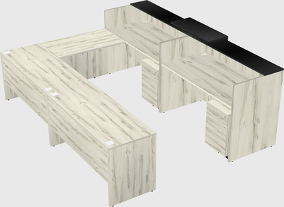 Shared one sided u-shaped reception desk