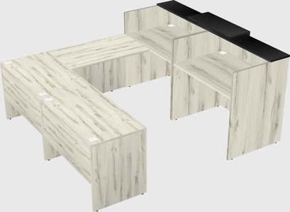 Shared one sided u-shaped reception desk
