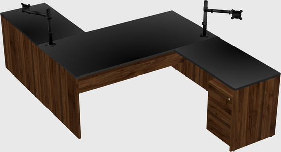 Executive shared desk