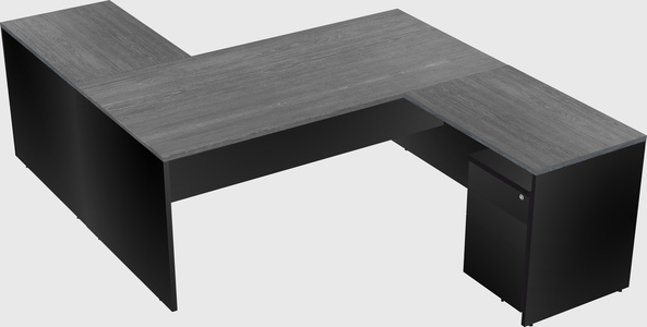 Executive shared desk