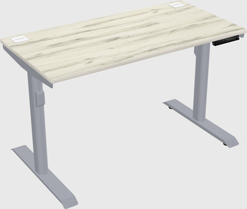 Dual motor electric desk