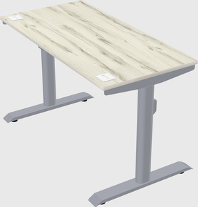 Dual motor electric desk