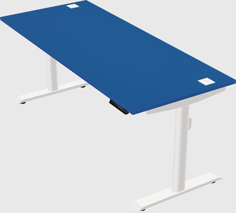 Dual motor electric desk