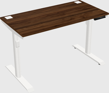 Bureau électrique à double moteur