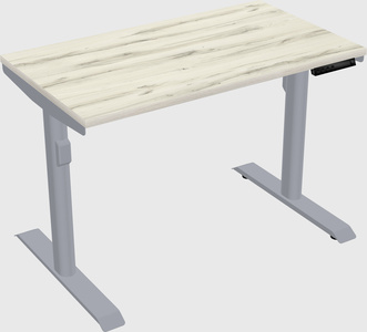 Dual motor electric desk