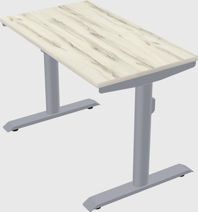 Dual motor electric desk