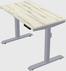 Dual motor electric desk