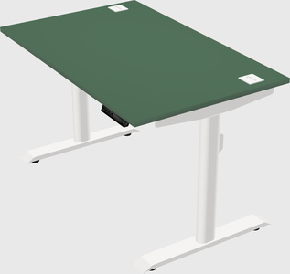 Dual motor electric desk