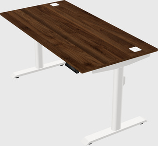 Bureau électrique à double moteur