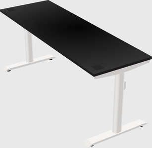 Dual motor electric desk