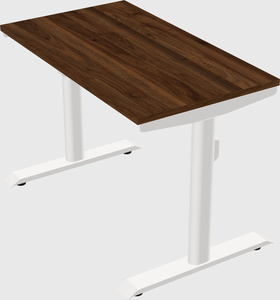 Bureau électrique à double moteur