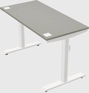 Dual motor electric desk
