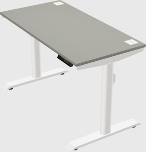 Dual motor electric desk
