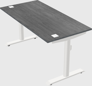 Dual motor electric desk