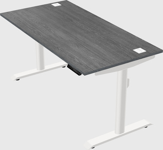 Dual motor electric desk