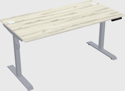 Dual motor electric desk