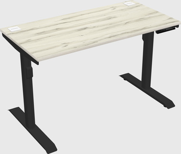 Dual motor electric desk