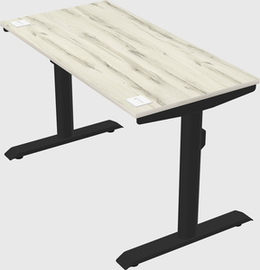Dual motor electric desk