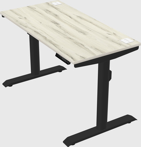 Dual motor electric desk