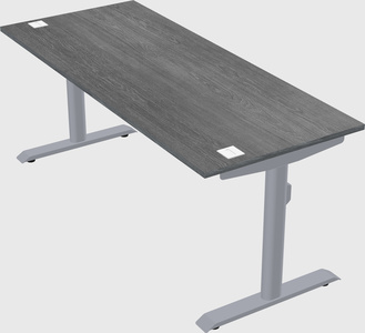 Dual motor electric desk