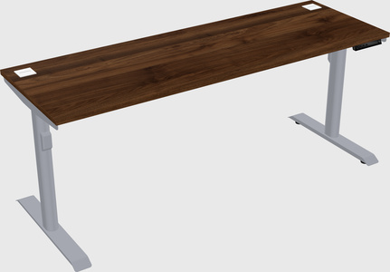 Dual motor electric desk