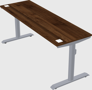 Dual motor electric desk