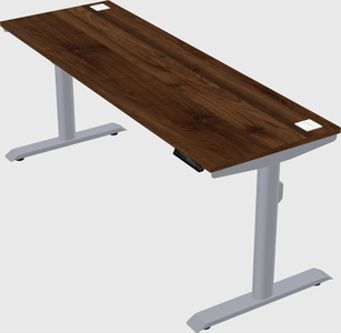 Dual motor electric desk