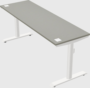 Dual motor electric desk