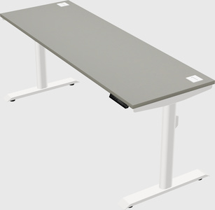 Dual motor electric desk