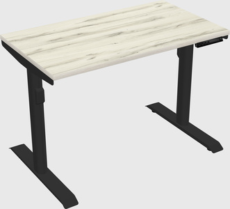 Dual motor electric desk