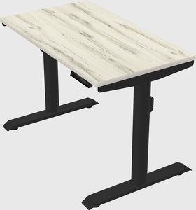 Dual motor electric desk