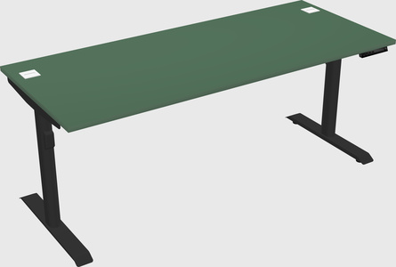 Dual motor electric desk