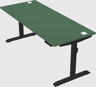 Dual motor electric desk