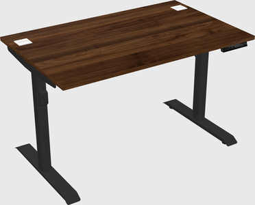 Dual motor electric desk