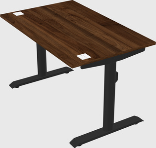 Dual motor electric desk