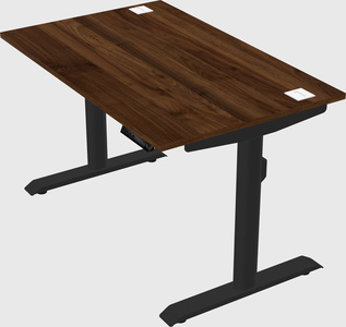 Dual motor electric desk