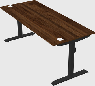 Dual motor electric desk