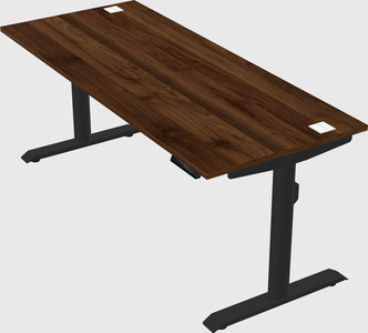 Dual motor electric desk