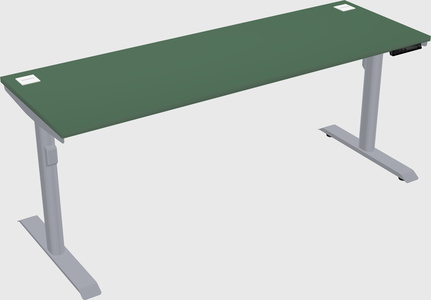 Dual motor electric desk