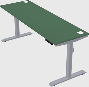 Dual motor electric desk