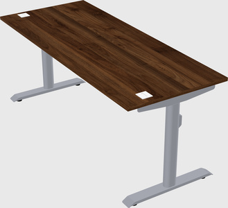 Dual motor electric desk