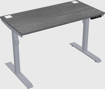 Dual motor electric desk