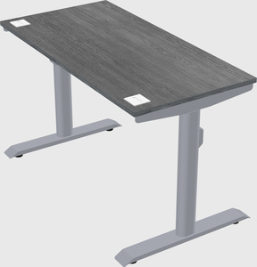 Dual motor electric desk