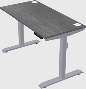 Dual motor electric desk
