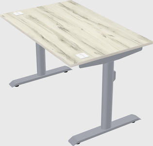 双电机电动办公桌