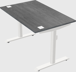 双电机电动办公桌