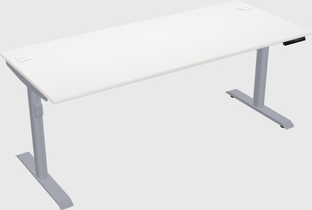 Dual motor electric desk
