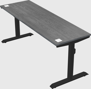Dual motor electric desk