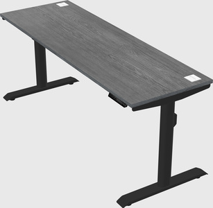 Dual motor electric desk