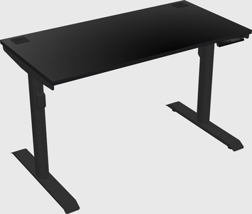Dual motor electric desk